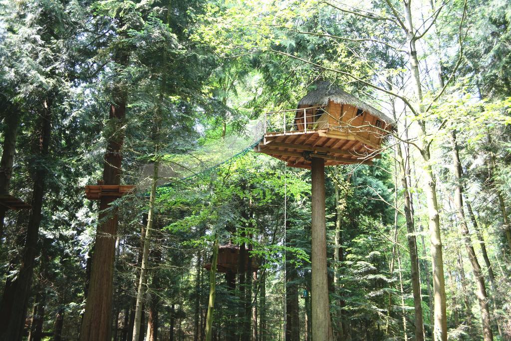 Insolite Dans Les Arbres Les Ormes, Epiniac Bed & Breakfast Exterior photo