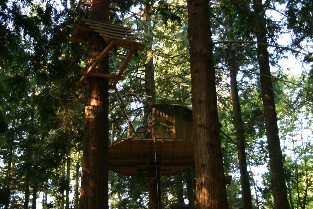 Insolite Dans Les Arbres Les Ormes, Epiniac Bed & Breakfast Exterior photo