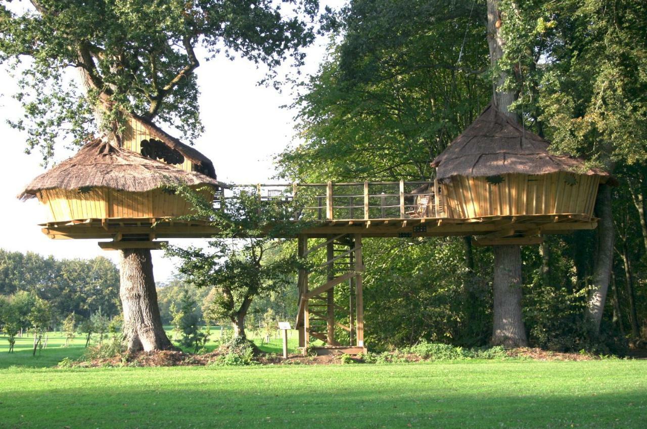 Insolite Dans Les Arbres Les Ormes, Epiniac Bed & Breakfast Exterior photo